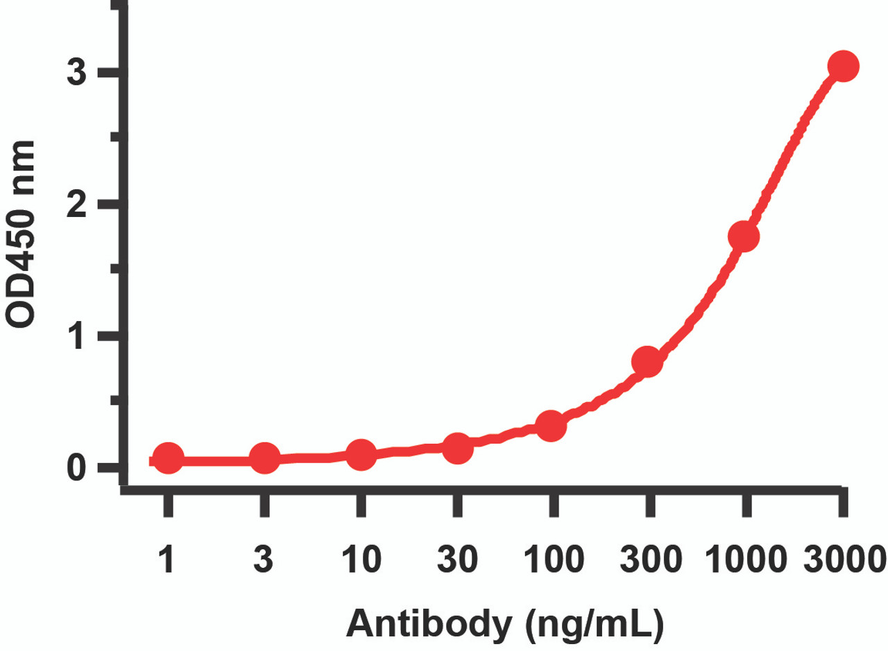 Figure 2 ELISA Validation with SARS-CoV-2 (COVID-19) Membrane Protein 
Antibodies: SARS-CoV-2 (COVID-19) Membrane Antibody, 9157. A direct ELISA was performed using SARS-CoV-2 membrane recombinant protein (10-429) as coating antigen and the anti-SARS-CoV-2 (COVID-19) Membrane antibody as the capture antibody. Secondary: Goat anti-rabbit IgG HRP conjugate at 1:20000 dilution. Detection range is from 1 ng/mL to 3000 ng/ml