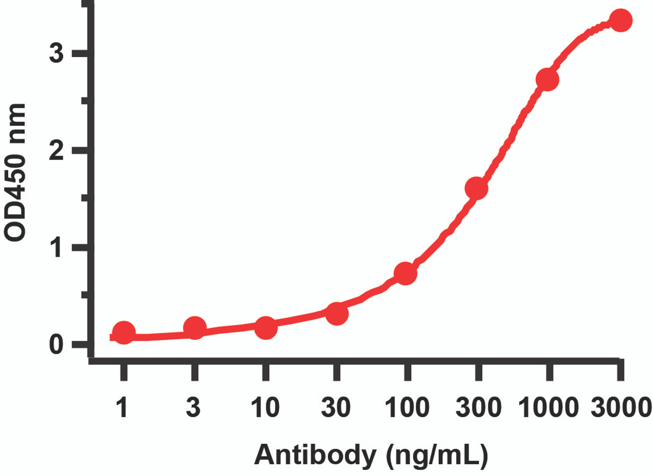 Figure 2 ELISA Validation with SARS-CoV-2 (COVID-19) NSP8 Protein 
Antibodies: SARS-CoV-2 (COVID-19) NSP8 Antibody, 9159. A direct ELISA was performed using SARS-CoV-2 NSP8 recombinant protein (10-415) as coating antigen and the anti-SARS-CoV-2 (COVID-19) NSP8 antibody as the capture antibody. Secondary: Goat anti-rabbit IgG HRP conjugate at 1:20000 dilution. Detection range is from 1 ng/mL to 3000 ng/mL