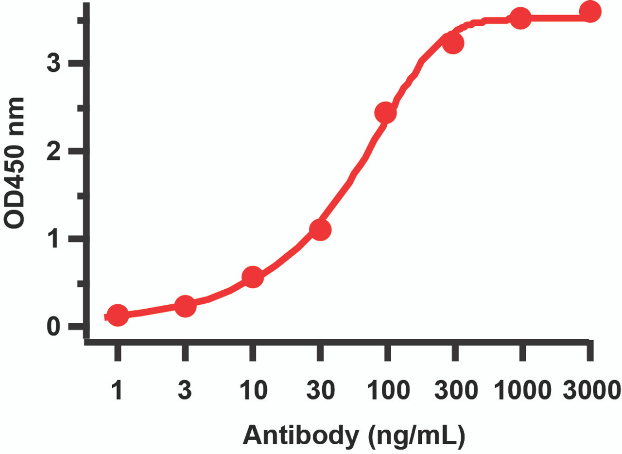 Figure 2 ELISA Validation with SARS-CoV-2 (COVID-19 Membrane Protein 
Antibodies: SARS-CoV-2 (COVID-19) Membrane Antibody, 9165. A direct ELISA was performed using SARS-COV-2 membrane protein (10-429) as coating antigen and the anti-SARS-CoV-2 (COVID-19) Membrane antibody as the capture antibody. Secondary: Goat anti-rabbit IgG HRP conjugate at 1:20000 dilution. Detection range is from 0.3 ng/mL to 3000 ng/mL.