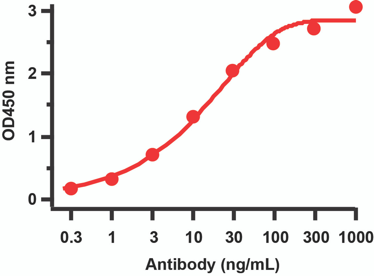 Figure 1 ELISA Validation 
Antibodies: SARS-CoV-2 (COVID-19) NSP6 Antibody, 9177. A direct ELISA was performed using immunogen peptide (9177P) as coating antigen and the anti-SARS-CoV-2 (COVID-19) NSP6 antibody as the capture antibody. Secondary: Goat anti-rabbit IgG HRP conjugate at 1:20000 dilution. Detection range is from 0.3 ng/mL to 1000ng/mL.