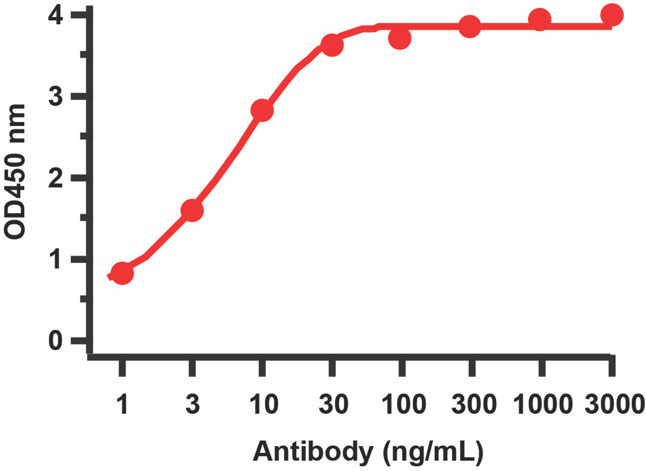 Figure 1 ELISA Validation with SARS-CoV-2 (COVID-19) NSP15 Protein 
Antibodies: SARS-CoV-2 (COVID-19) NSP15 Antibody, 9269. A direct ELISA was performed using SARS-CoV-2 NSP15 recombinant protein (10-420) as coating antigen and the anti-SARS-CoV-2 (COVID-19) NSP15 antibody as the capture antibody. Secondary: Goat anti-rabbit IgG HRP conjugate at 1:20000 dilution. Detection range is from 1 ng/mL to 3000 ng/mL