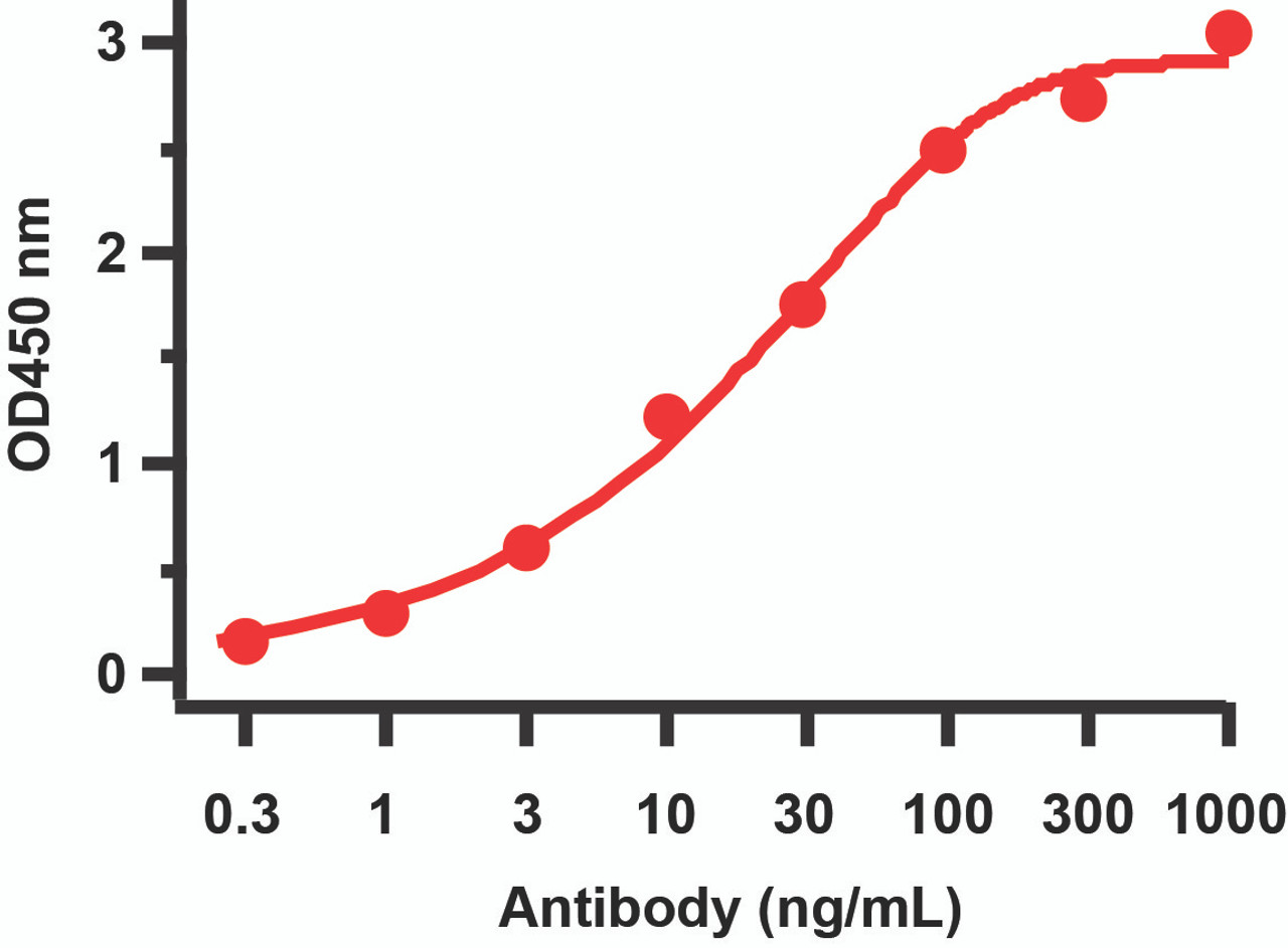 Figure 1 ELISA Validation 
Antibodies: SARS-CoV-2 (COVID-19) ORF7a Antibody, 9283. A direct ELISA was performed using SARS-CoV-2 ORF7a immunogen peptide (9283P) ) as coating antigen and the anti-SARS-CoV-2 (COVID-19) ORF7a antibody as the capture antibody. Secondary: Goat anti-rabbit IgG HRP conjugate at 1:20000 dilution. Detection range is from 0.3 ng/mL to 1000 ng/mL