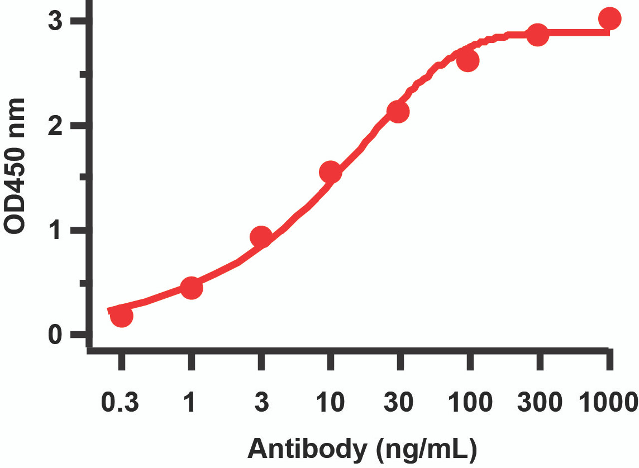 Figure 2 ELISA Validation 
Antibodies: SARS-CoV-2 (COVID-19) ORF7a Antibody, 9285. A direct ELISA was performed using SARS-CoV-2 ORF7a immunogen peptide (9285P) ) as coating antigen and the anti-SARS-CoV-2 (COVID-19) ORF7a antibody as the capture antibody. Secondary: Goat anti-rabbit IgG HRP conjugate at 1:20000 dilution. Detection range is from 0.3 ng/mL to 1000 ng/mL