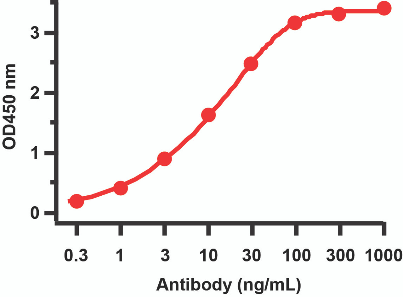 Figure 1 ELISA Validation 
Antibodies: SARS-CoV-2 (COVID-19) ORF10 Antibody, 9293. A direct ELISA was performed using SARS-CoV-2 ORF10 immunogen peptide (9293P) ) as coating antigen and the anti-SARS-CoV-2 (COVID-19) ORF10 antibody as the capture antibody. Secondary: Goat anti-rabbit IgG HRP conjugate at 1:20000 dilution. Detection range is from 0.3 ng/mL to 1000 ng/mL