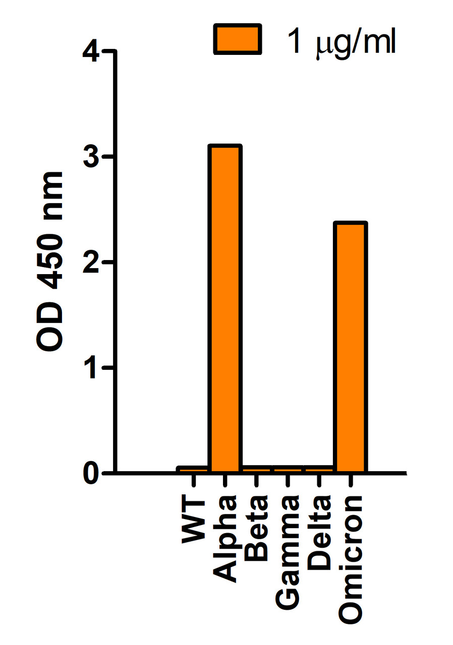 Figure 1 ELISA Validation of Omicron Variant Spike Antibodies with Spike S1 Protein of SARS-CoV-2 Variants 
Coating Antigen: SARS-CoV-2 spike S1 proteins WT, alpha variant (B.1.1.7) , beta variant (B.1.351) , gamma variant (P.1) , delta variant (B.1.617.2) , and omicron variant (B.1.1.529) , 1 &#956;g/mL, incubate at 4 &#730;C overnight.
Detection Antibodies: SARS-CoV-2 Omicron Variant Spike antibody, PM-9375, dilution: 200-1000 ng/mL, incubate at RT for 1 hr.
Secondary Antibodies: Goat anti-mouse HRP at 1:5, 000, incubate at RT for 1 hr.
SARS-CoV-2 Omicron variant spike antibody (PM-9375) can specifically detect omicron and alpha variant spike S1 protein, but not spike S1 protein of WT and other tested variants by ELISA. </strong>