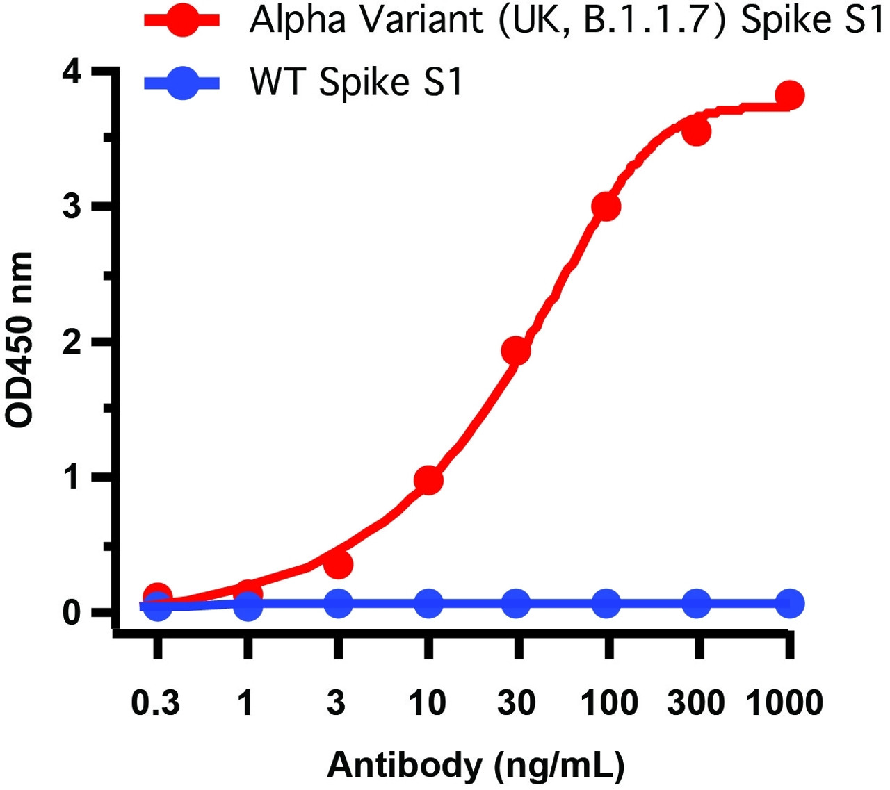 Figure 2 ELISA Validation of P681H Mutant Specific Spike Antibodies with SARS-CoV-2 Alpha Variant Spike S1 Protein 
Coating Antigen: SARS-CoV-2 spike S1 proteins, including WT and alpha variant (B.1.1.7, UK) , 1 ug/mL, incubate at 4 &#730;C overnight.
Detection Antibodies: SARS-CoV-2 Alpha Variant Spike antibody, PM-9375, dilution: 0.3-1000 ng/mL, incubate at RT for 1 hr.
Secondary Antibodies: Goat anti-mouse HRP at 1:5, 000, incubate at RT for 1 hr.
SARS-CoV-2 P681H Mutant Specific Spike antibody (PM-9375) can specifically detect alpha variant spike S1 protein, but not WT spike S1 protein (10-300) by ELISA. </strong>