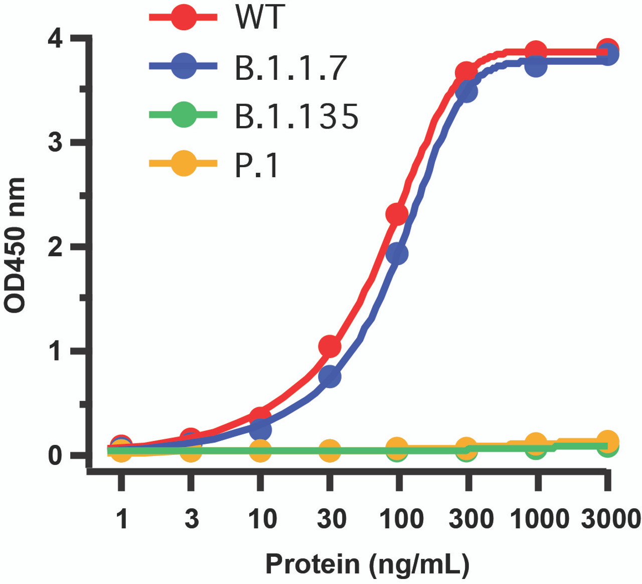 <strong> Figure 1 Detection of SARS-CoV-2 Variant Proteins with Spike S1 Antibodies by Direct ELISA</strong> 
Coating Antigen: SARS-CoV-2 full length spike proteins, including WT, UK variant (B.1.1.7) , SA variant (B.1.135) and Brazil (P.1) . Dilution: 1-3000 ng/mL. Incubate at 4 &#730; C overnight.
Detection Antibodies: SARS-CoV-2 Spike S1 Antibody, 10-351, 0.1 &#956;g/mL, incubate at RT for 1 hr.
Secondary Antibodies: Goat anti-rabbit HRP at 1:20, 000, incubate at RT for 1 hr.
<strong>Spike S1 antibody (10-351) cannot detect SA variant (B.1.135) and Brazil (P.1) , both of which carry more mutations in RBD as compared to UK variant (B.1.1.7) . </strong>