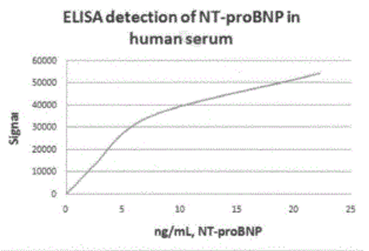 NT-proBNP Antibody [A10] | 54-302