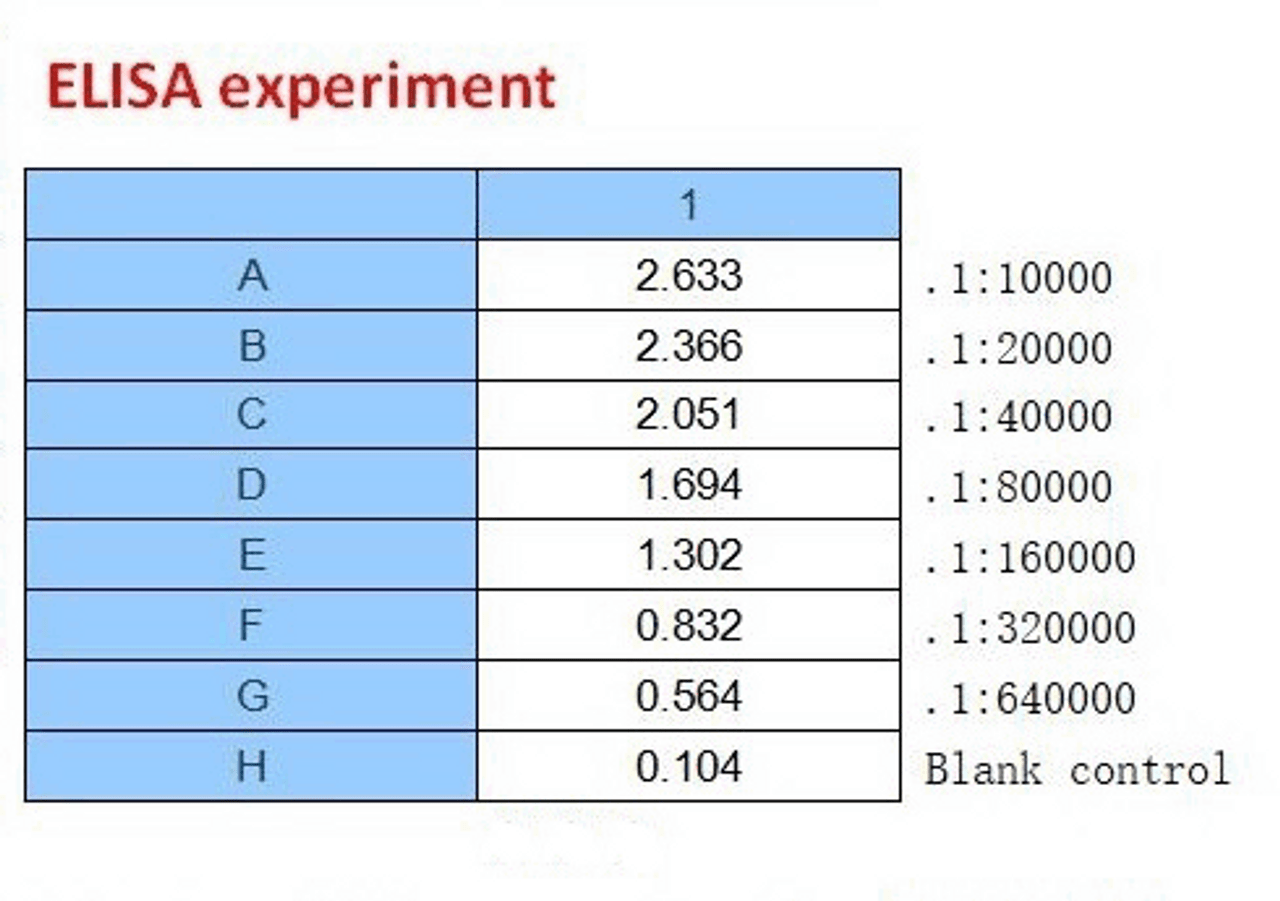 <strong>Figure 2 ELISA Test</strong><br>
Coating original concentration: 2 ug/mL, 100 uL/well sample is SARS-CoV-2 (COVID-19) Nucleocapsid Recombinant Protein, 10-007.<br>Antibodies: SARS-CoV-2 (COVID-19) Nucleocapsid Monoclonal Antibody, 10-544.<br>Secondary: Goat anti-human IgG HRP conjugate at 1:10000 dilution.<br>Develop: 15min, 100 uL/well.<br>Stop: Stop buffer 50 uL/well.