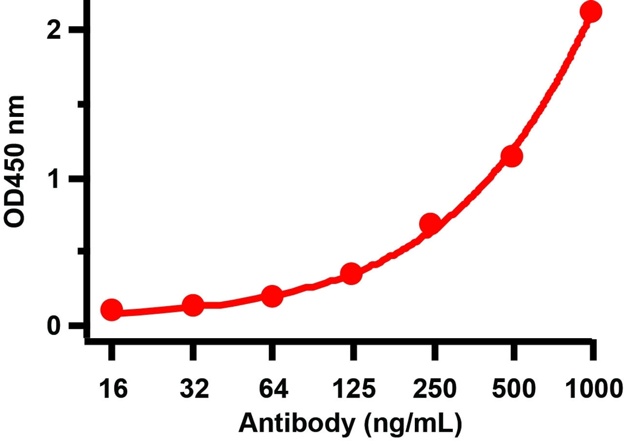 <strong>Figure 2 ELISA Test </strong><br> Antibodies: SARS-CoV-2 Nucleocapsid antibody, 35-580. An ELISA was performed using human SARS-CoV-2 Nucleocapsid recombinant protein as coating antigen and the SARS-CoV-2 Nucleocapsid antibody, as the capture antibody. Secondary: Goat anti-mouse IgG HRP conjugate at 1:20000 dilution. Detection range is from 16 ng/mL to 1000 ng/mL.