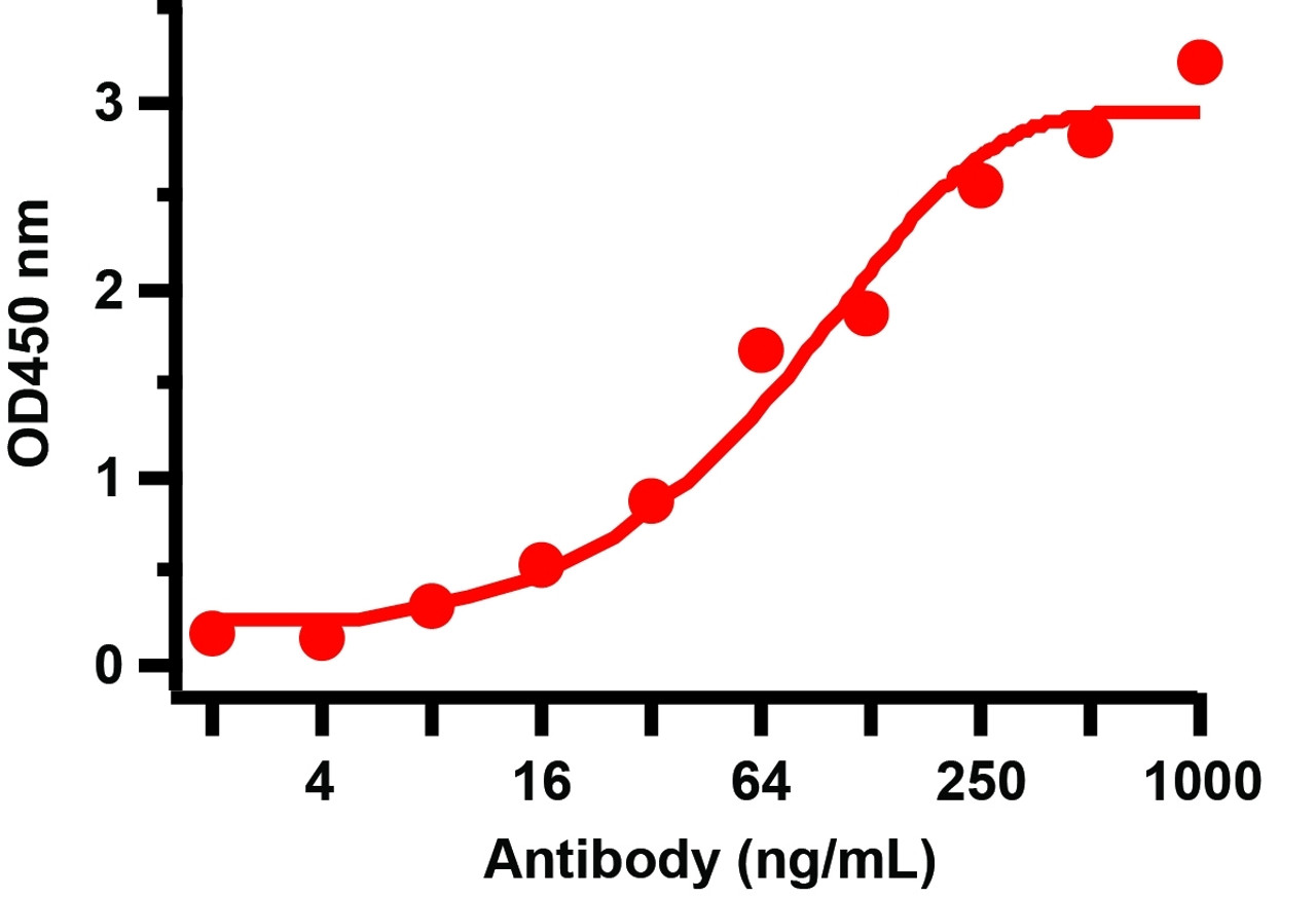 <strong>Figure 2 ELISA Test </strong><br> Antibodies: SARS-CoV-2 Nucleocapsid antibody, 35-710. An ELISA was performed using human SARS-CoV-2 Nucleocapsid recombinant protein as coating antigen and the SARS-CoV-2 Nucleocapsid antibody, as the capture antibody. Secondary: Goat anti-mouse IgG HRP conjugate at 1:20000 dilution. Detection range is from 2 ng/mL to 1000 ng/mL.