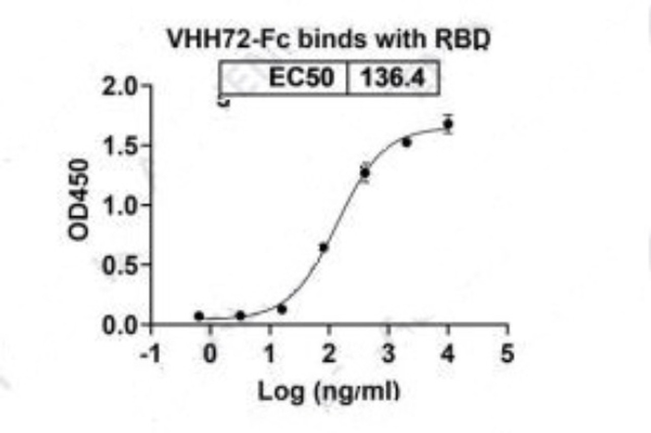 VHH72-Fc binds with RBD