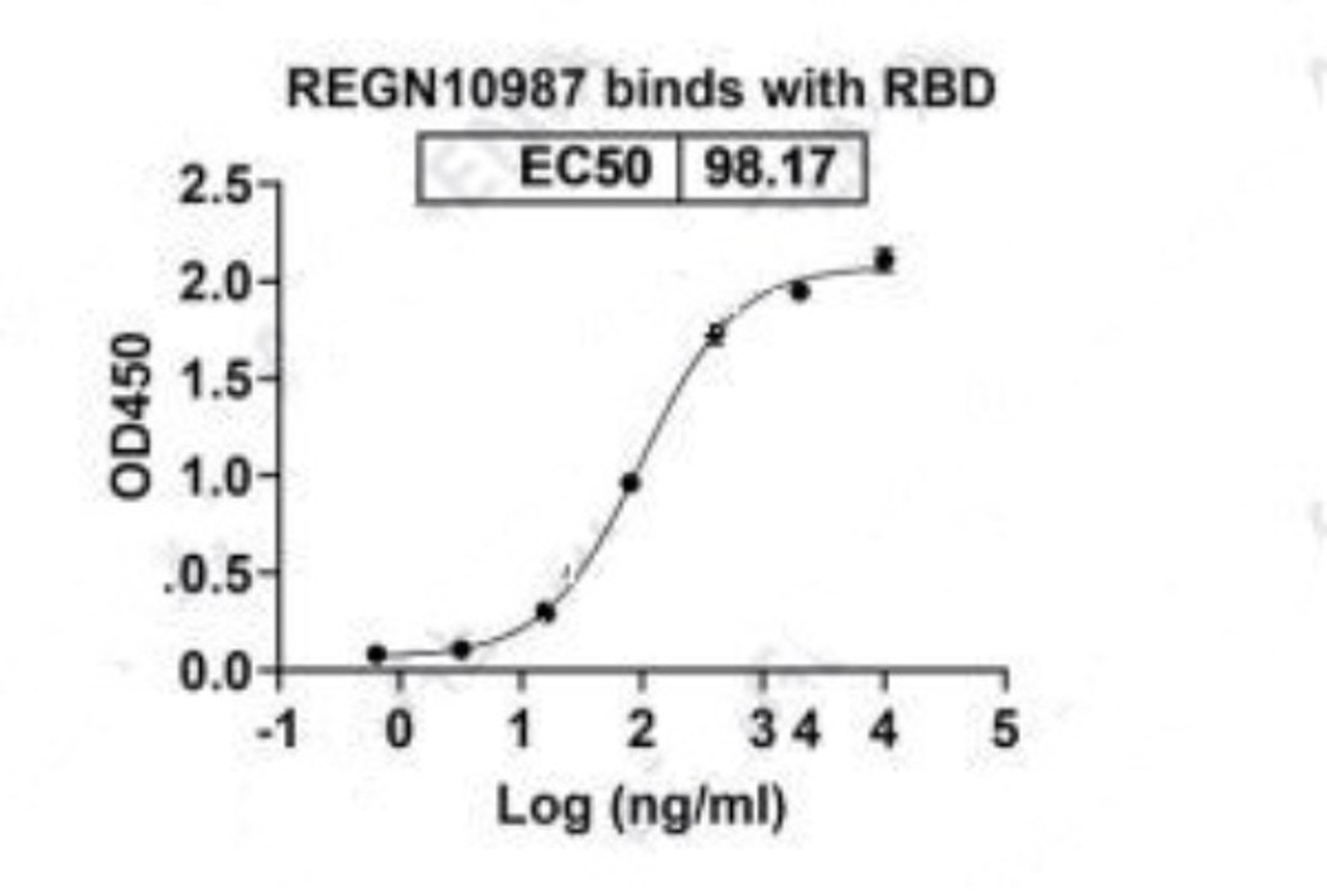 REGN10987 binds with RBD