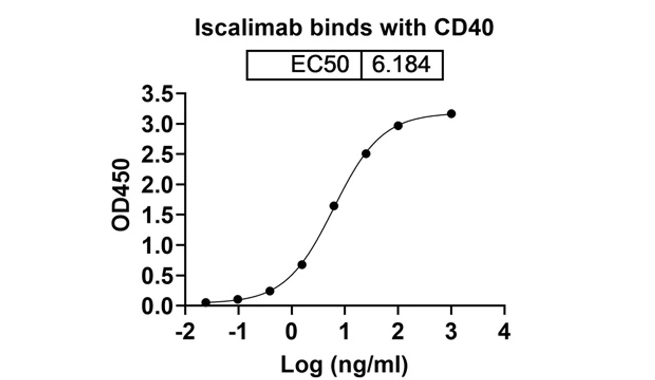 Iscalimab binds with CD40