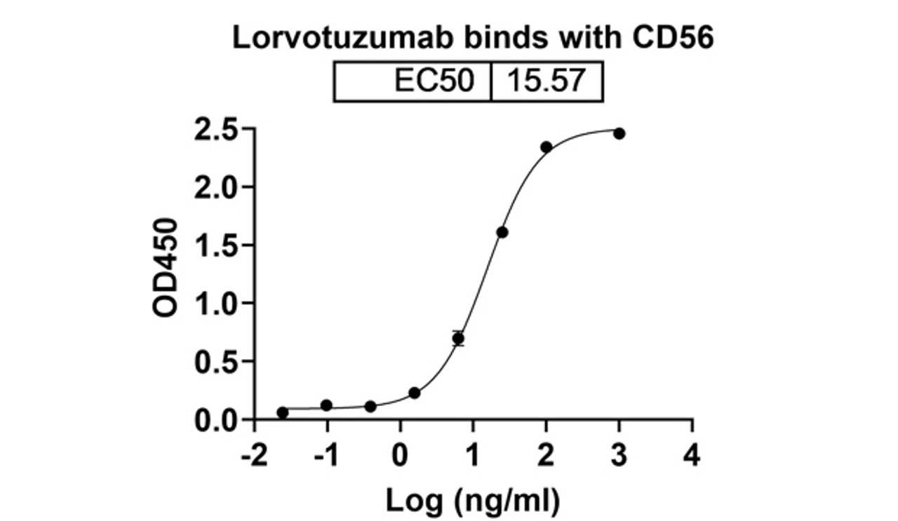 Lorvotuzumab binds with CD56