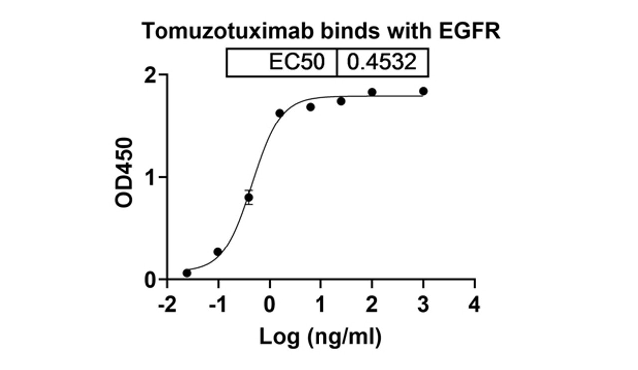 Tomuzotuximab binds with EGFR