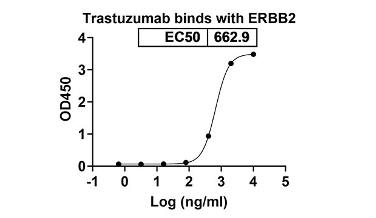 Trastuzumab Emtansine (ERBB2/EGFR2/CD340) Antibody, Monoclonal | 10-444