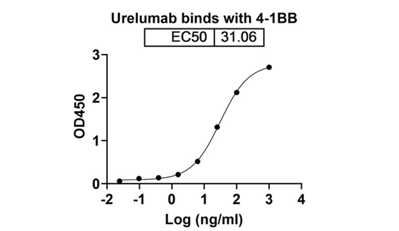 Urelumab binds with 4-1BB
