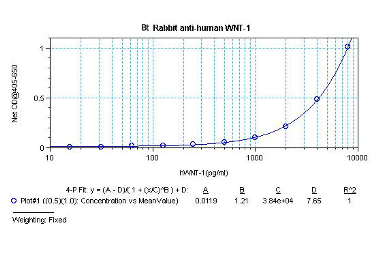 To detect hWNT-1 by sandwich ELISA (using 100 ul/well antibody solution) a concentration of 0.25 – 1.0 ug/ml of this antibody is required. This biotinylated polyclonal antibody, in conjunction with ProSci’s Polyclonal Anti-Human WNT-1 (38-175) as a capture antibody, allows the detection of at least 0.2 – 0.4 ng/well of recombinant hWNT-1.