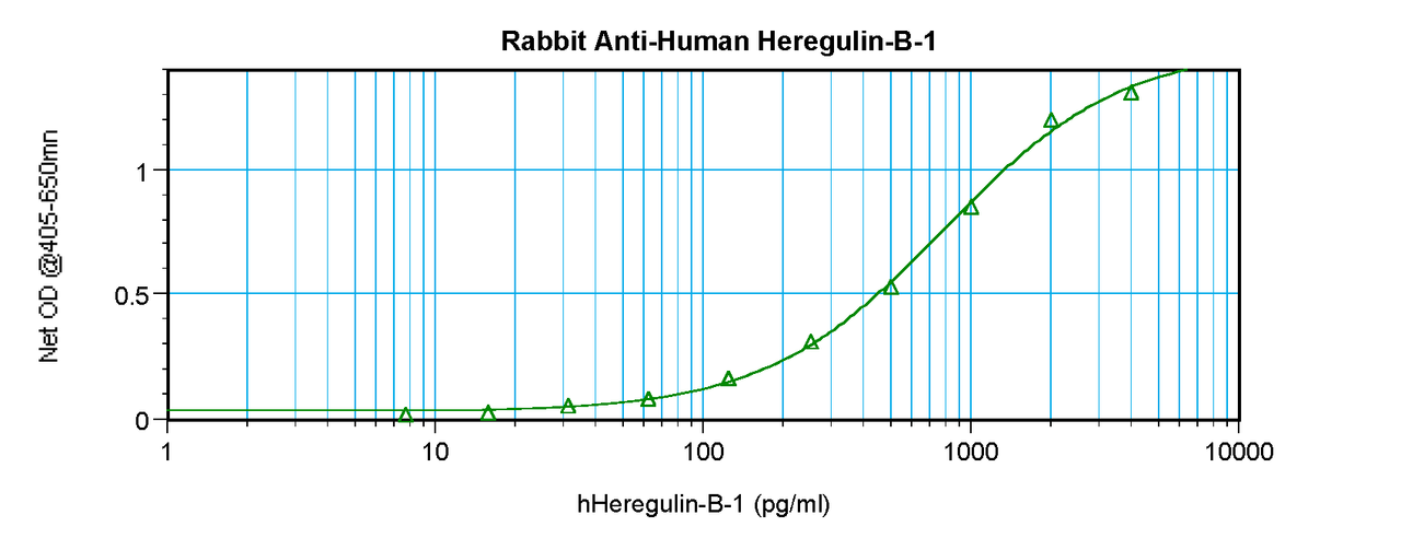 To detect Human Heregulin-beta1 by sandwich ELISA (using 100ul/well antibody solution) a concentration of 0.5 - 2.0 ug/ml of this antibody is required. This antigen affinity purified antibody, in conjunction with ProSci’s Biotinylated Anti-Human Heregulin-beta1 (38-253) as a detection antibody, allows the detection of at least 0.2 - 0.4 ng/well of recombinant Human Heregulin-beta1.