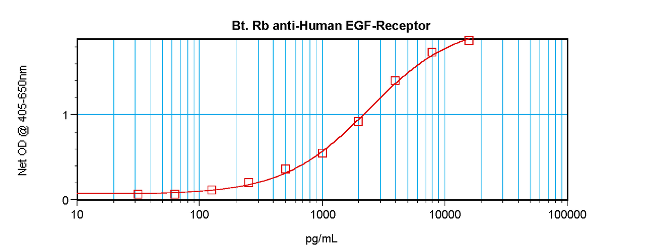 To detect Human EGF Receptor by sandwich ELISA (using 100 ul/well antibody solution) a concentration of 0.25 – 1.0 ug/ml of this antibody is required. This biotinylated polyclonal antibody, in conjunction with ProSci’s Polyclonal Anti-Human EGF Receptor (38-264) as a capture antibody, allows the detection of at least 0.2 – 0.4 ng/well of recombinant Human EGF Receptor.