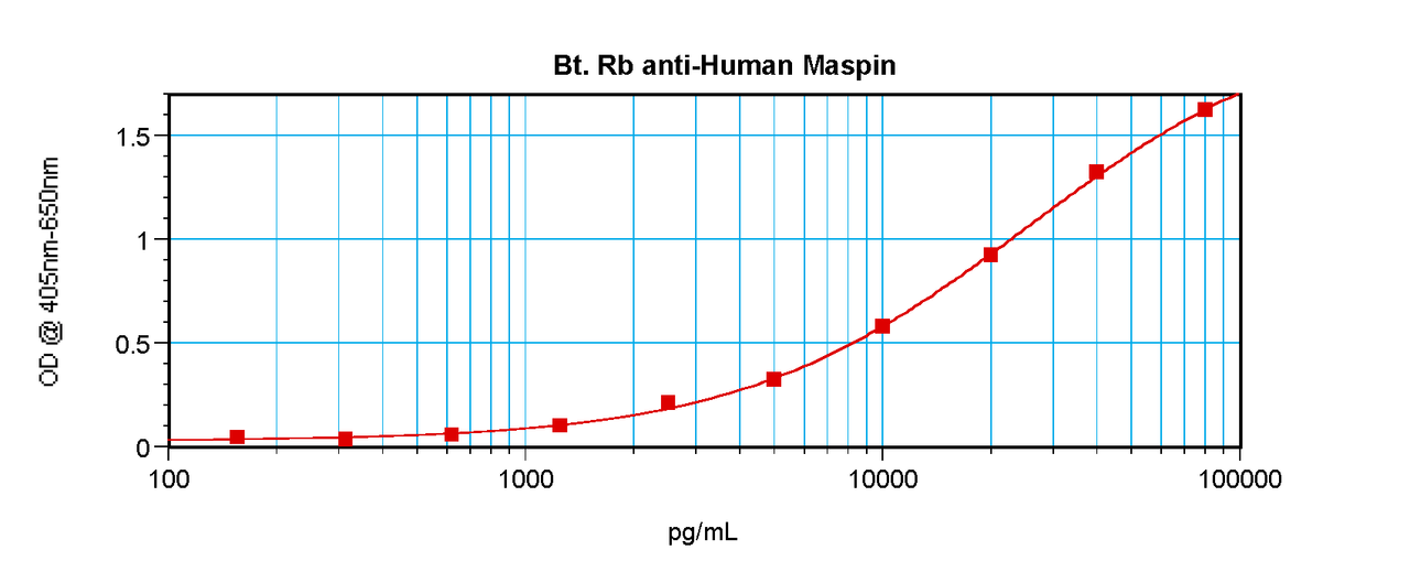 To detect hMaspin by sandwich ELISA (using 100 ul/well antibody solution) a concentration of 0.25 – 1.0 ug/ml of this antibody is required. This biotinylated polyclonal antibody, in conjunction with ProSci’s Polyclonal Anti-Human Maspin (38-244) as a capture antibody, allows the detection of at least 0.2 – 0.4 ng/well of recombinant hMaspin.