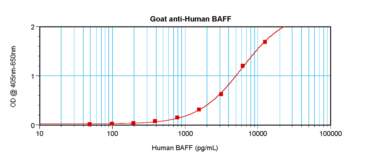 To detect hBAFF by sandwich ELISA (using 100 ul/well antibody solution) a concentration of 0.5 - 2.0 ug/ml of this antibody is required. This antigen affinity purified antibody, in conjunction with ProSci’s Biotinylated Anti-Human BAFF (XP-5105Bt) as a detection antibody, allows the detection of at least 0.2 - 0.4 ng/well of recombinant hBAFF.