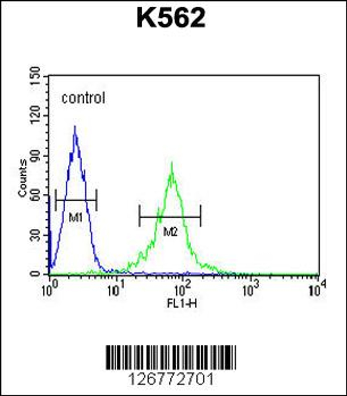 Flow cytometric analysis of K562 cells (right histogram) compared to a negative control cell (left histogram) .FITC-conjugated goat-anti-rabbit secondary antibodies were used for the analysis.