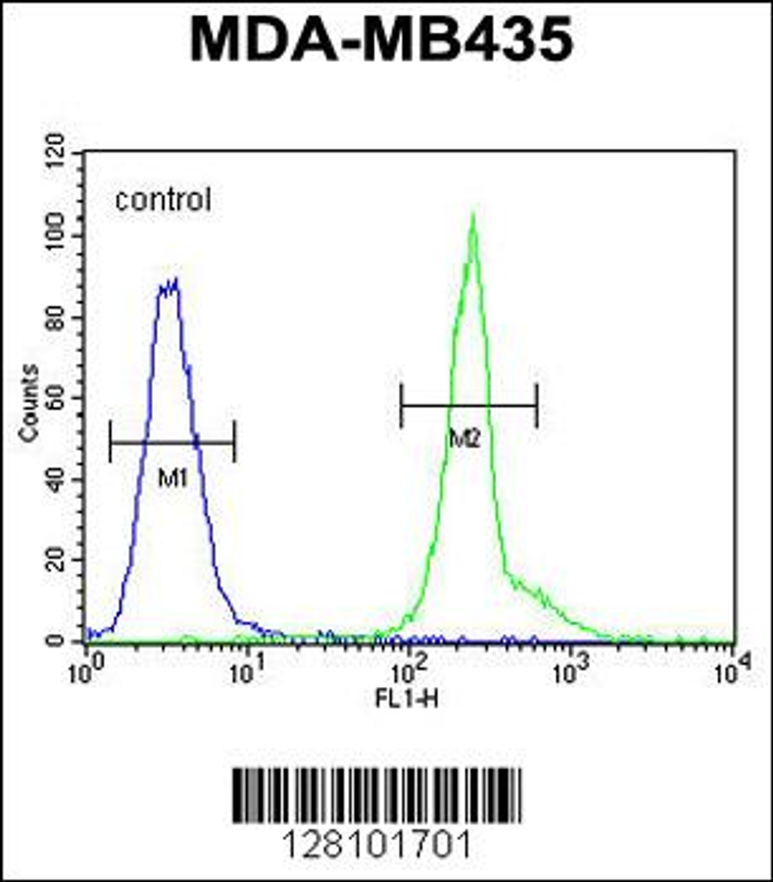 Flow cytometric analysis of MDA-MB435 cells (right histogram) compared to a negative control cell (left histogram) .FITC-conjugated goat-anti-rabbit secondary antibodies were used for the analysis.