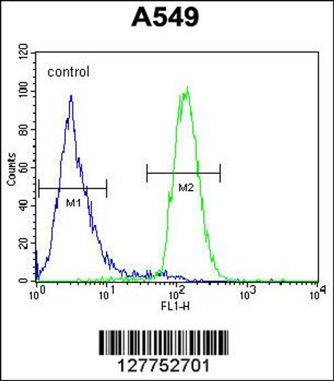 Flow cytometric analysis of A549 cells (right histogram) compared to a negative control cell (left histogram) .FITC-conjugated goat-anti-rabbit secondary antibodies were used for the analysis.