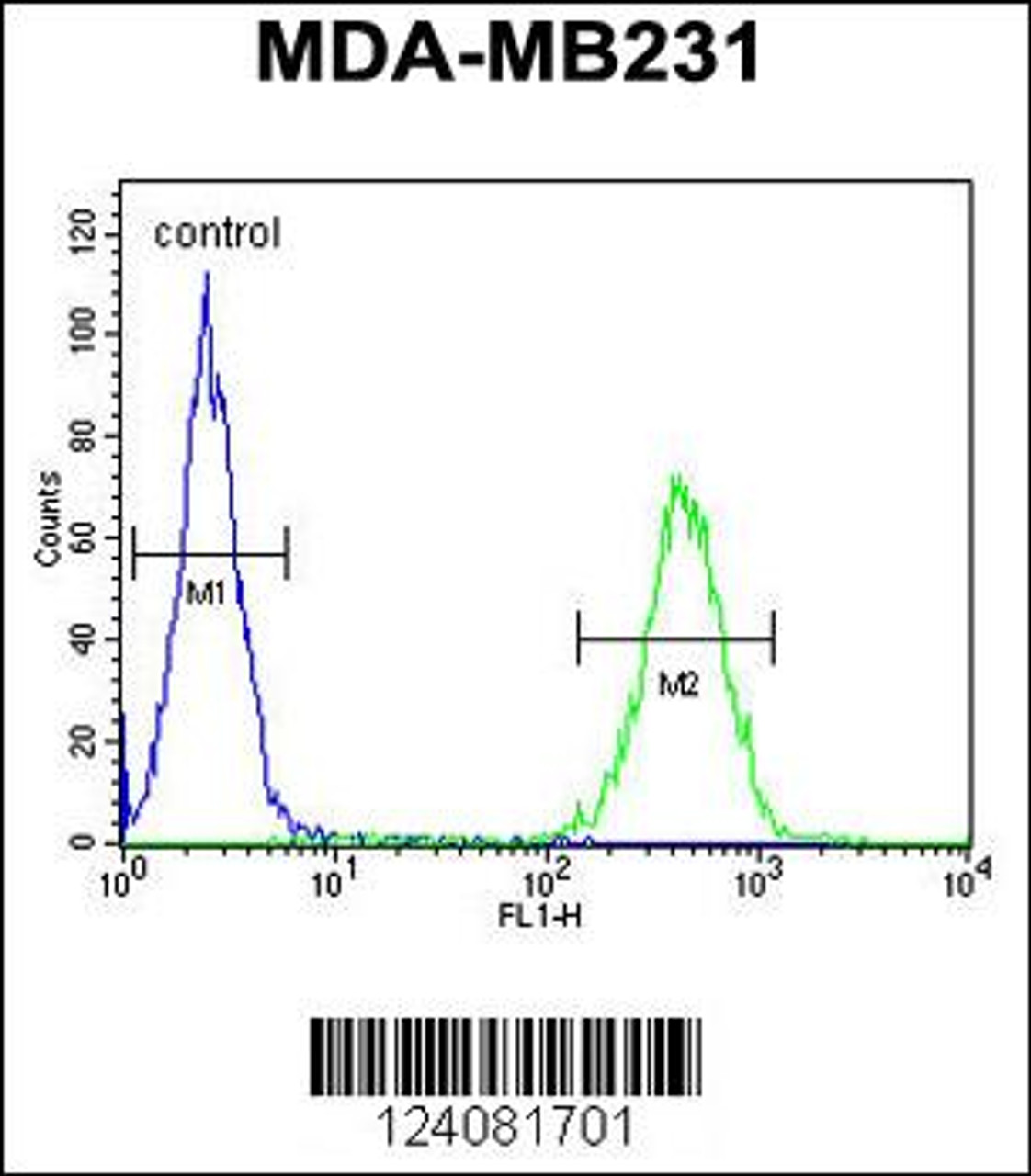 Flow cytometric analysis of MDA-MB231 cells (right histogram) compared to a negative control cell (left histogram) .FITC-conjugated goat-anti-rabbit secondary antibodies were used for the analysis.