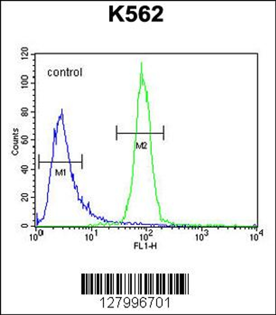 Flow cytometric analysis of K562 cells (right histogram) compared to a negative control cell (left histogram) .FITC-conjugated goat-anti-rabbit secondary antibodies were used for the analysis.
