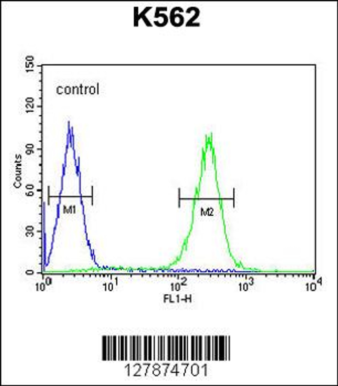 Flow cytometric analysis of K562 cells (right histogram) compared to a negative control cell (left histogram) .FITC-conjugated goat-anti-rabbit secondary antibodies were used for the analysis.