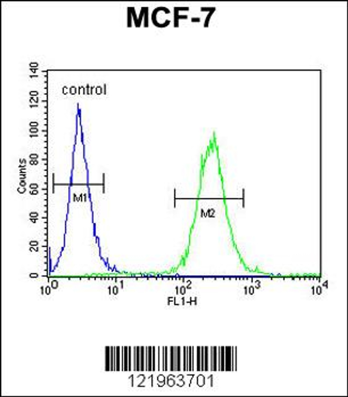 Flow cytometric analysis of MCF-7 cells (right histogram) compared to a negative control cell (left histogram) .FITC-conjugated goat-anti-rabbit secondary antibodies were used for the analysis.