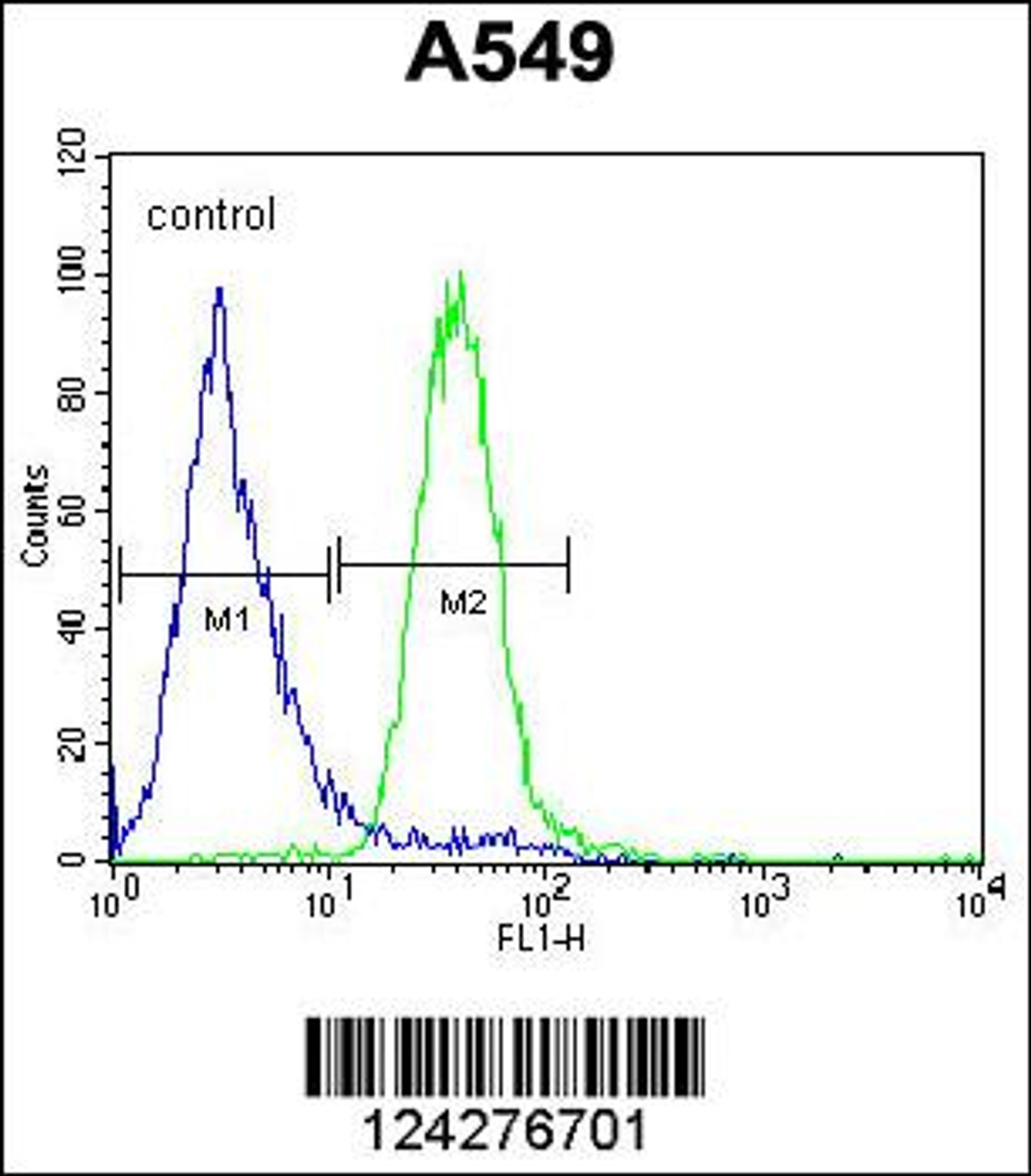 Flow cytometric analysis of A549 cells (right histogram) compared to a negative control cell (left histogram) .FITC-conjugated goat-anti-rabbit secondary antibodies were used for the analysis.