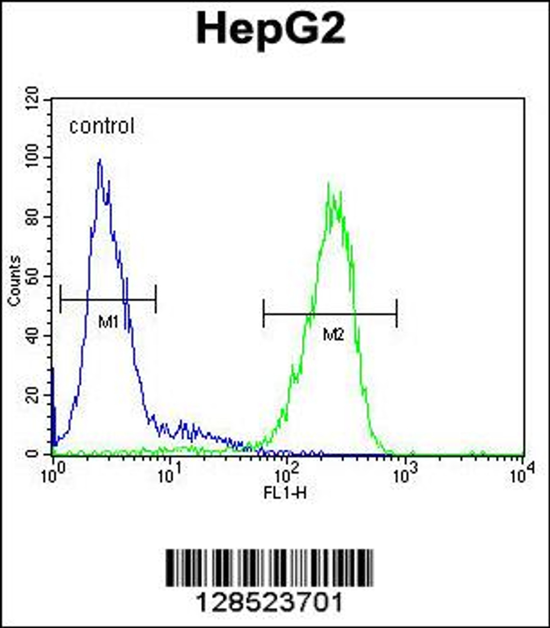 Flow cytometric analysis of HepG2 cells (right histogram) compared to a negative control cell (left histogram) .FITC-conjugated goat-anti-rabbit secondary antibodies were used for the analysis.