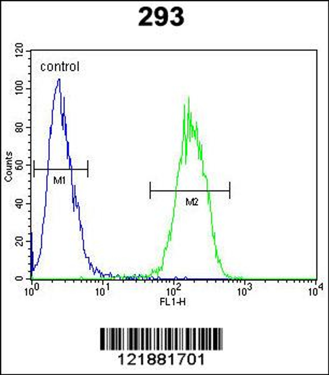 Flow cytometric analysis of 293 cells (right histogram) compared to a negative control cell (left histogram) .FITC-conjugated goat-anti-rabbit secondary antibodies were used for the analysis.