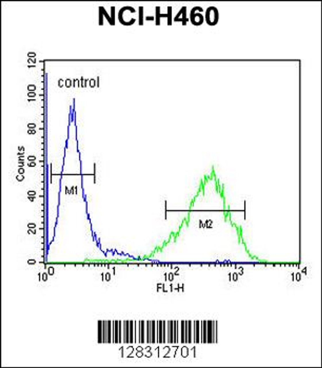 Flow cytometric analysis of NCI-H460 cells (right histogram) compared to a negative control cell (left histogram) .FITC-conjugated goat-anti-rabbit secondary antibodies were used for the analysis.