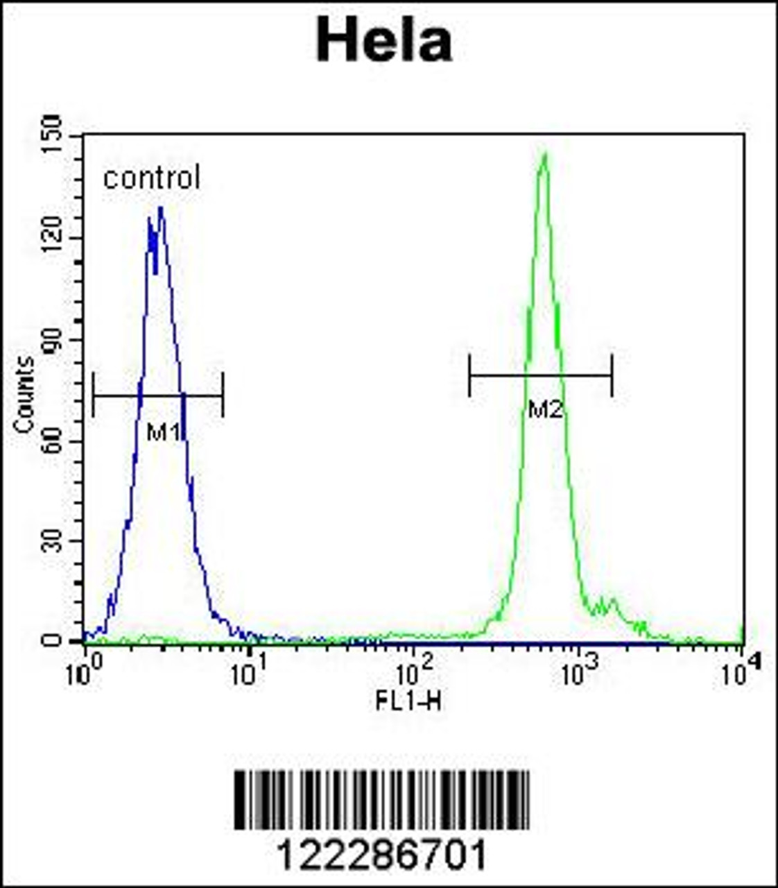 Flow cytometric analysis of Hela cells (right histogram) compared to a negative control cell (left histogram) .FITC-conjugated goat-anti-rabbit secondary antibodies were used for the analysis.