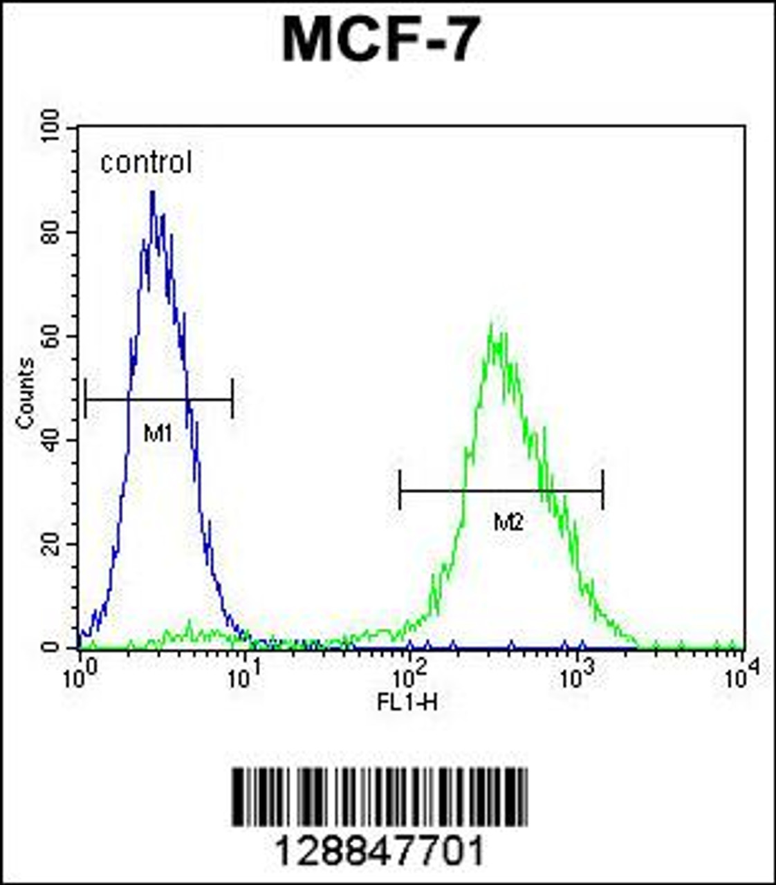 Flow cytometric analysis of MCF-7 cells (right histogram) compared to a negative control cell (left histogram) .FITC-conjugated goat-anti-rabbit secondary antibodies were used for the analysis.