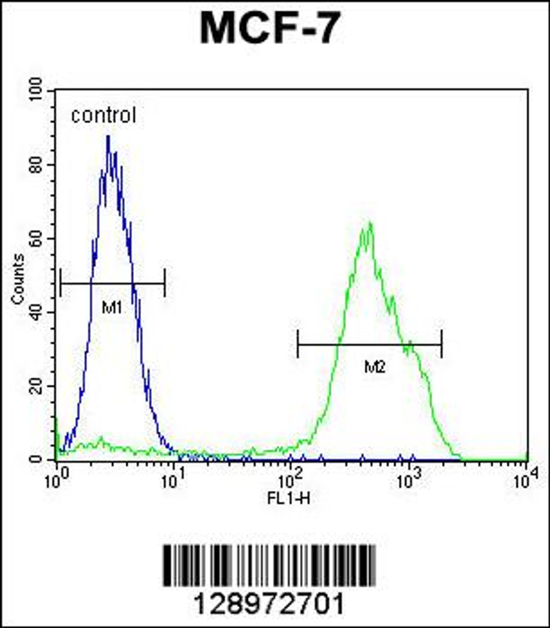 Flow cytometric analysis of MCF-7 cells (right histogram) compared to a negative control cell (left histogram) .FITC-conjugated goat-anti-rabbit secondary antibodies were used for the analysis.