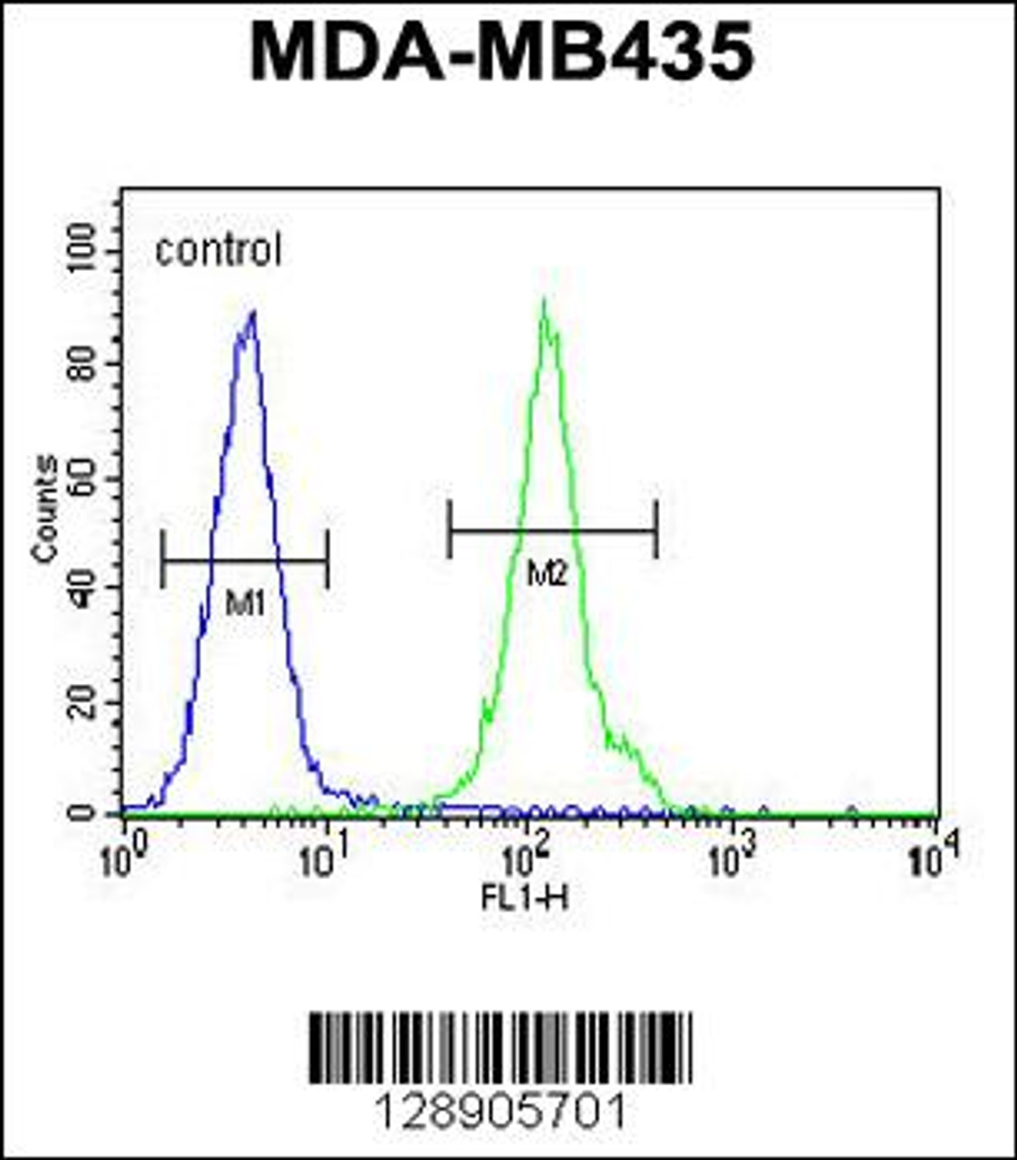 Flow cytometric analysis of MDA-MB435 cells (right histogram) compared to a negative control cell (left histogram) .FITC-conjugated goat-anti-rabbit secondary antibodies were used for the analysis.