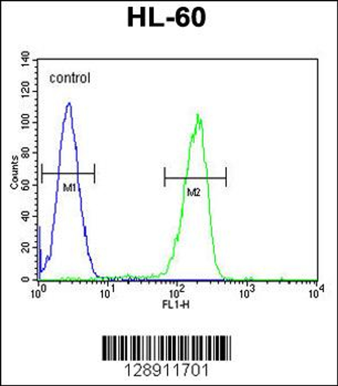 Flow cytometric analysis of HL-60 cells (right histogram) compared to a negative control cell (left histogram) .FITC-conjugated goat-anti-rabbit secondary antibodies were used for the analysis.