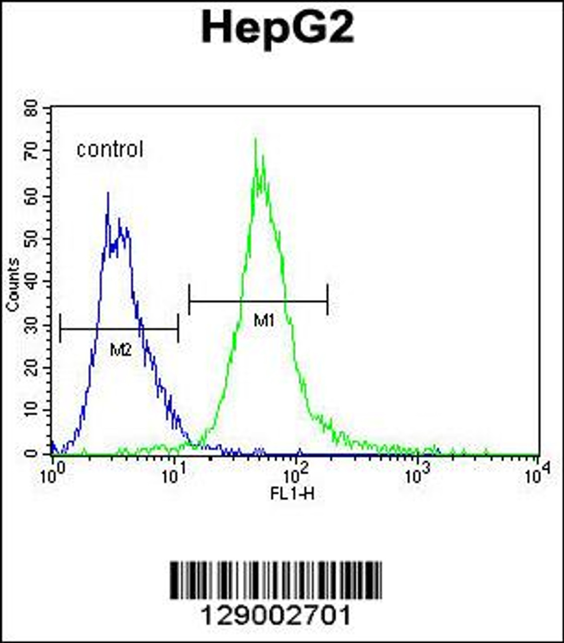 Flow cytometric analysis of HepG2 cells (right histogram) compared to a negative control cell (left histogram) .FITC-conjugated goat-anti-rabbit secondary antibodies were used for the analysis.