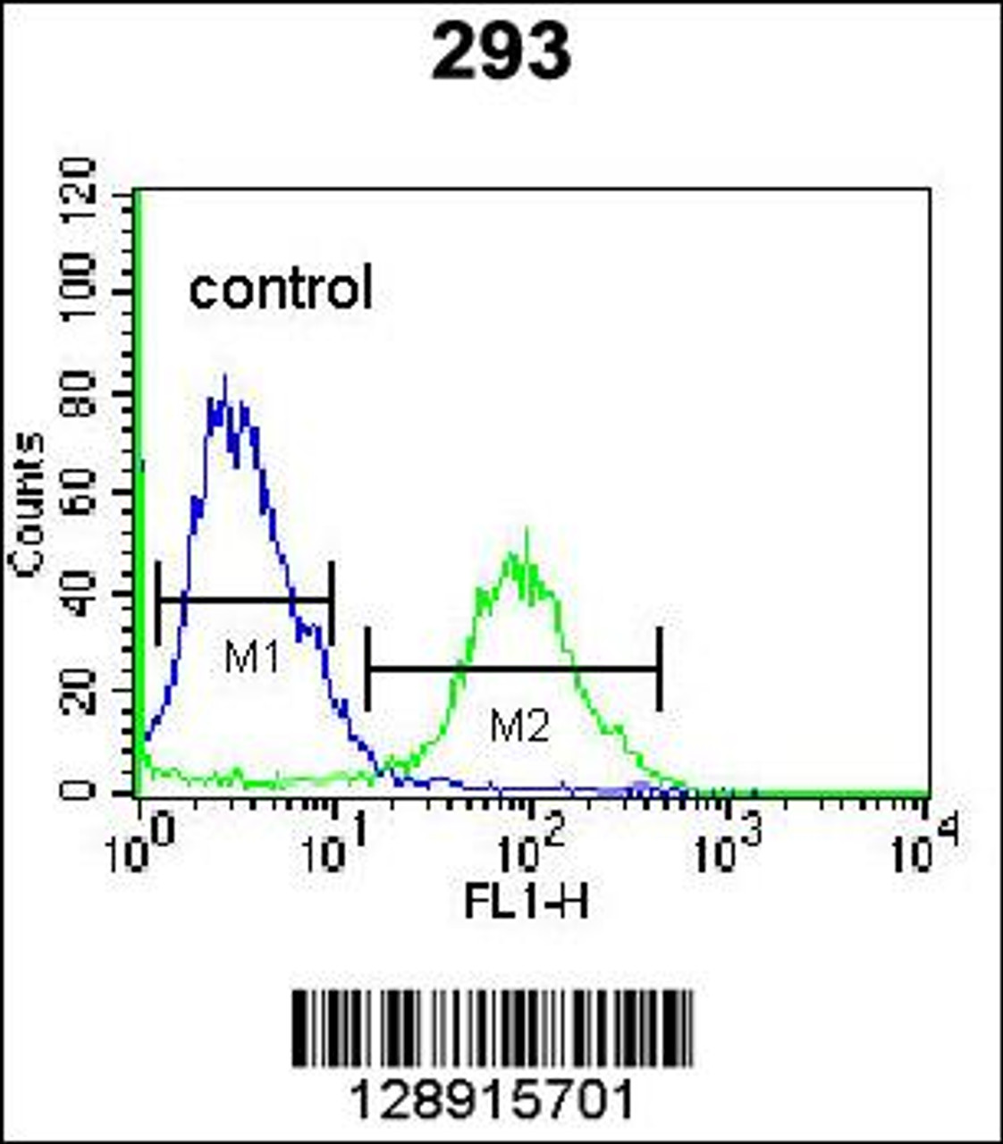 Flow cytometric analysis of 293 cells (right histogram) compared to a negative control cell (left histogram) .FITC-conjugated goat-anti-rabbit secondary antibodies were used for the analysis.