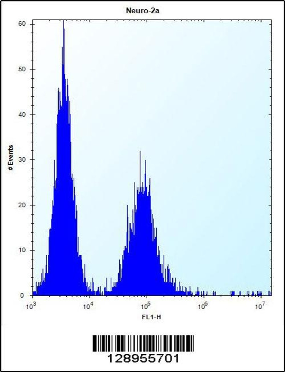 Flow cytometric analysis of Neuro-2a cells (right histogram) compared to a negative control cell (left histogram) .FITC-conjugated donkey-anti-rabbit secondary antibodies were used for the analysis.