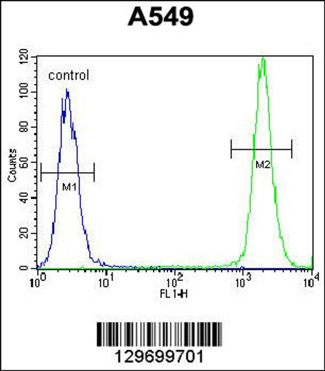 Flow cytometric analysis of A549 cells (right histogram) compared to a negative control cell (left histogram) .FITC-conjugated goat-anti-rabbit secondary antibodies were used for the analysis.
