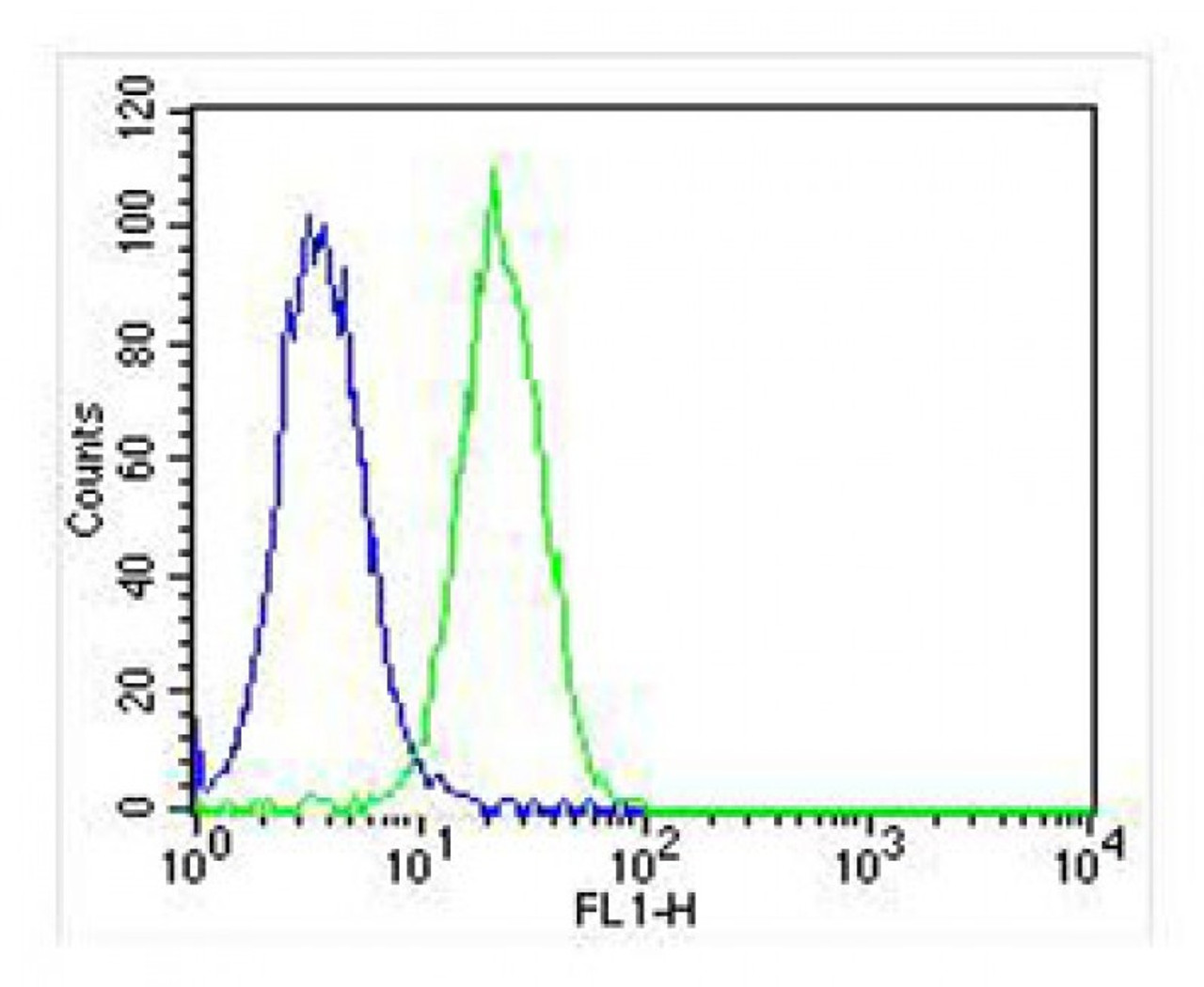Overlay histogram showing Hela cells stained with Antibody (green line) . The cells were fixed with 2% paraformaldehyde (10 min) and then permeabilized with 90% methanol for 10 min. The cells were then icubated in 2% bovine serum albumin to block non-specific protein-protein interactions followed by the antibody (1:25 dilution) for 60 min at 37ºC. The secondary antibody used was Goat-Anti-Rabbit IgG, DyLight 488 Conjugated Highly Cross-Adsorbed (OH191631) at 1/400 dilution for 40 min at 37ºC. Isotype control antibody (blue line) was rabbit IgG (1ug/1x10^6 cells) used under the same conditions. Acquisition of >10, 000 events was performed.