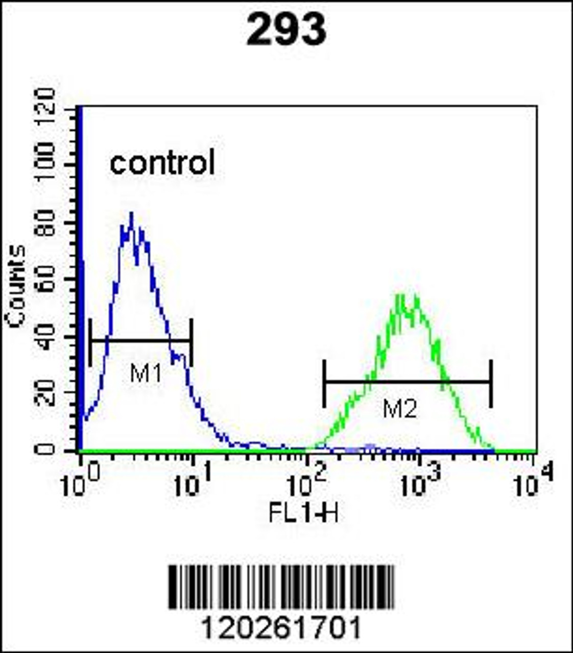 Flow cytometric analysis of 293 cells (right histogram) compared to a negative control cell (left histogram) .FITC-conjugated goat-anti-rabbit secondary antibodies were used for the analysis.