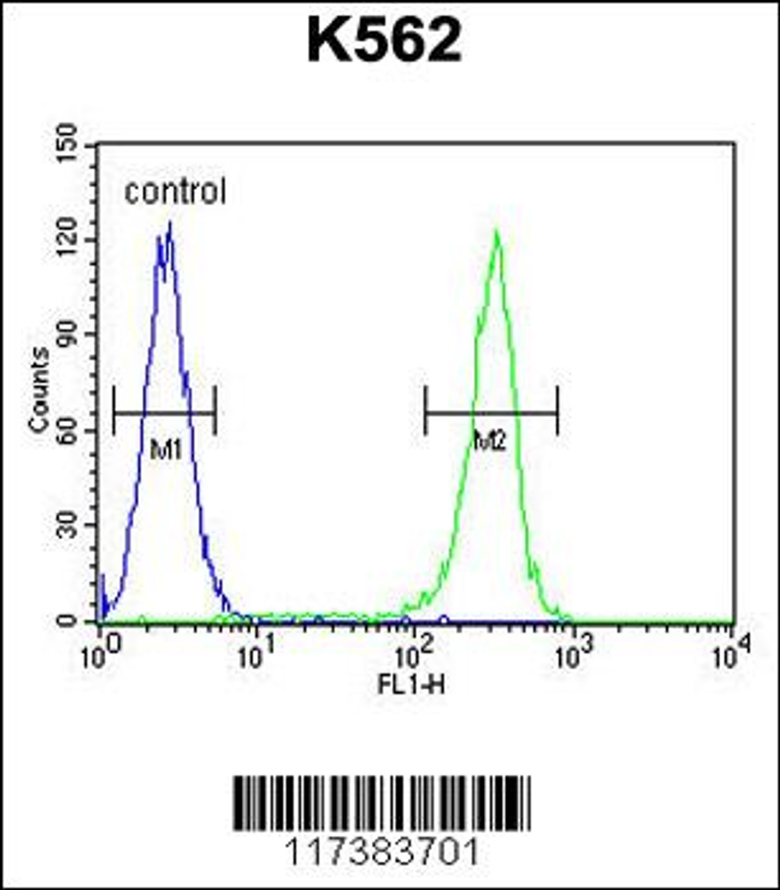 Flow cytometric analysis of K562 cells (right histogram) compared to a negative control cell (left histogram) .FITC-conjugated goat-anti-rabbit secondary antibodies were used for the analysis.